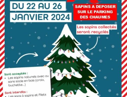 Recyclez vos sapins en les déposant au parking des chaumes après utilisation