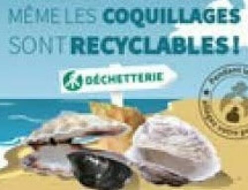 Point de collecte pour vos coquillages