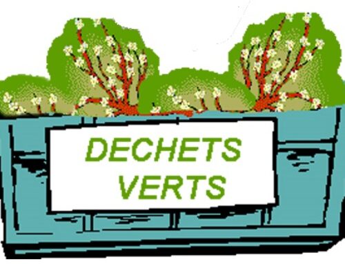 FERMETURE EXCEPTIONNELLE DE L’AIRE DE DEPÔT DES DECHETS VERTS