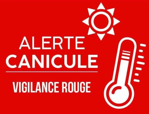 CONSIGNES SUITE CANICULE